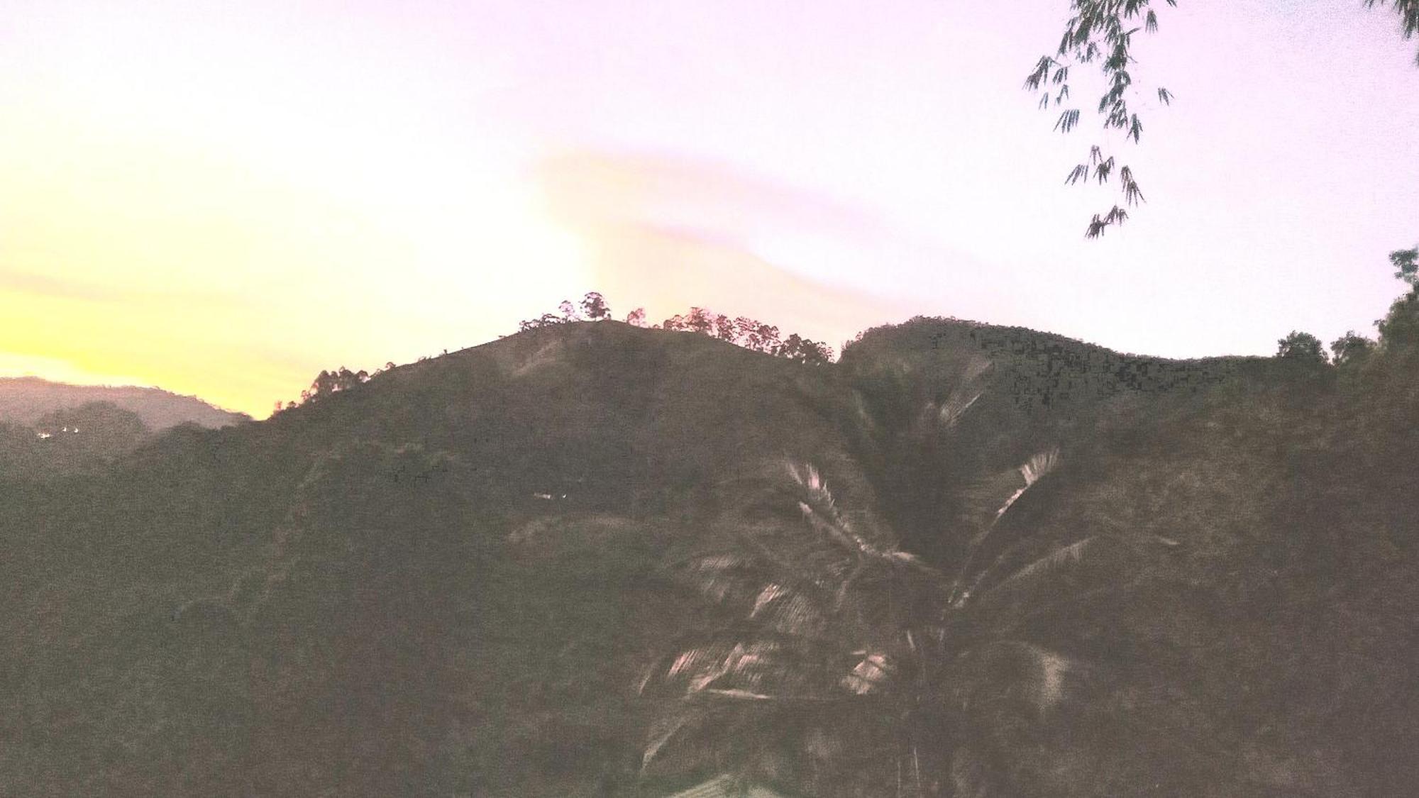 New Farmers Paradise Ella Rom bilde