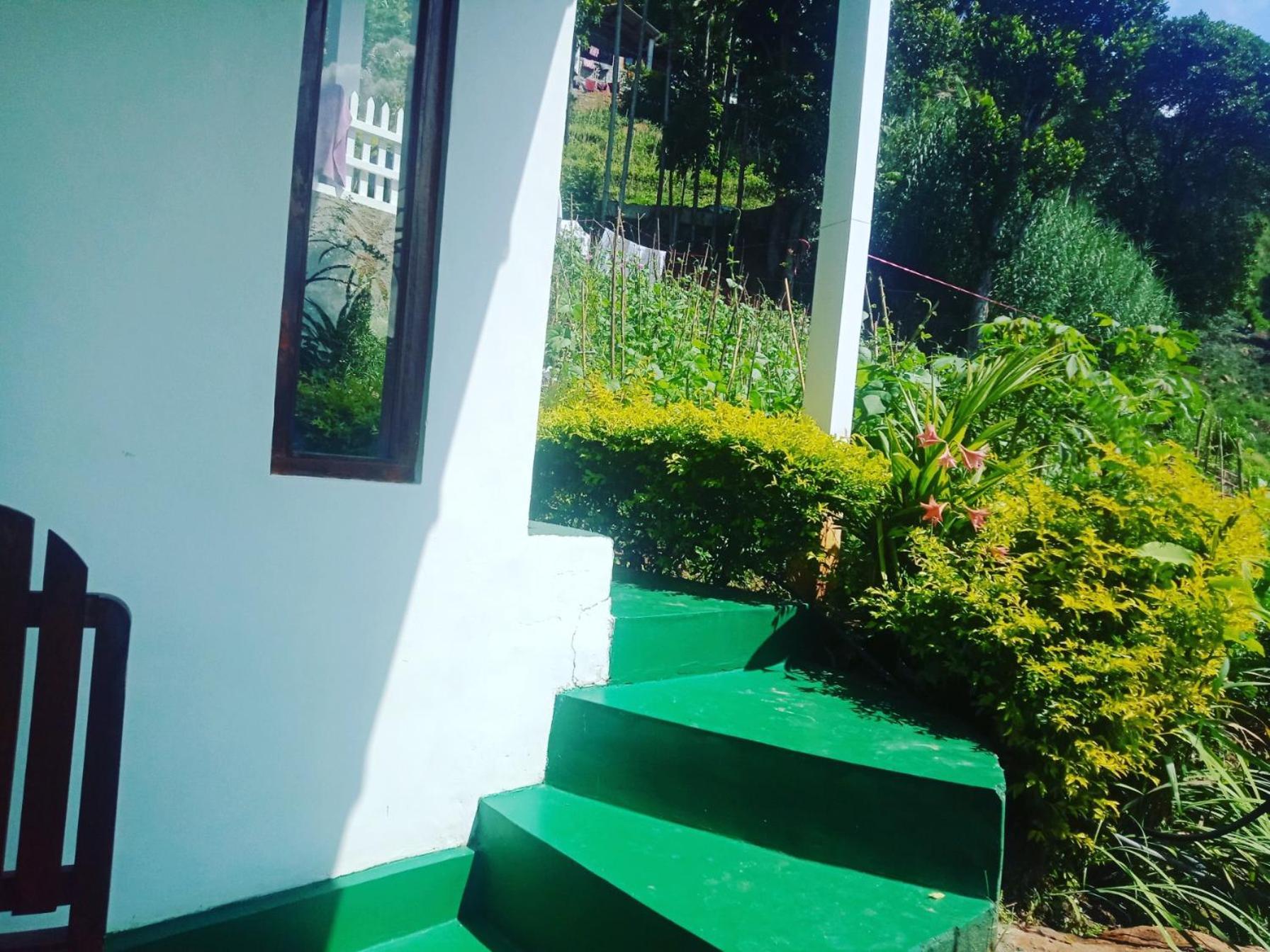 New Farmers Paradise Ella Rom bilde
