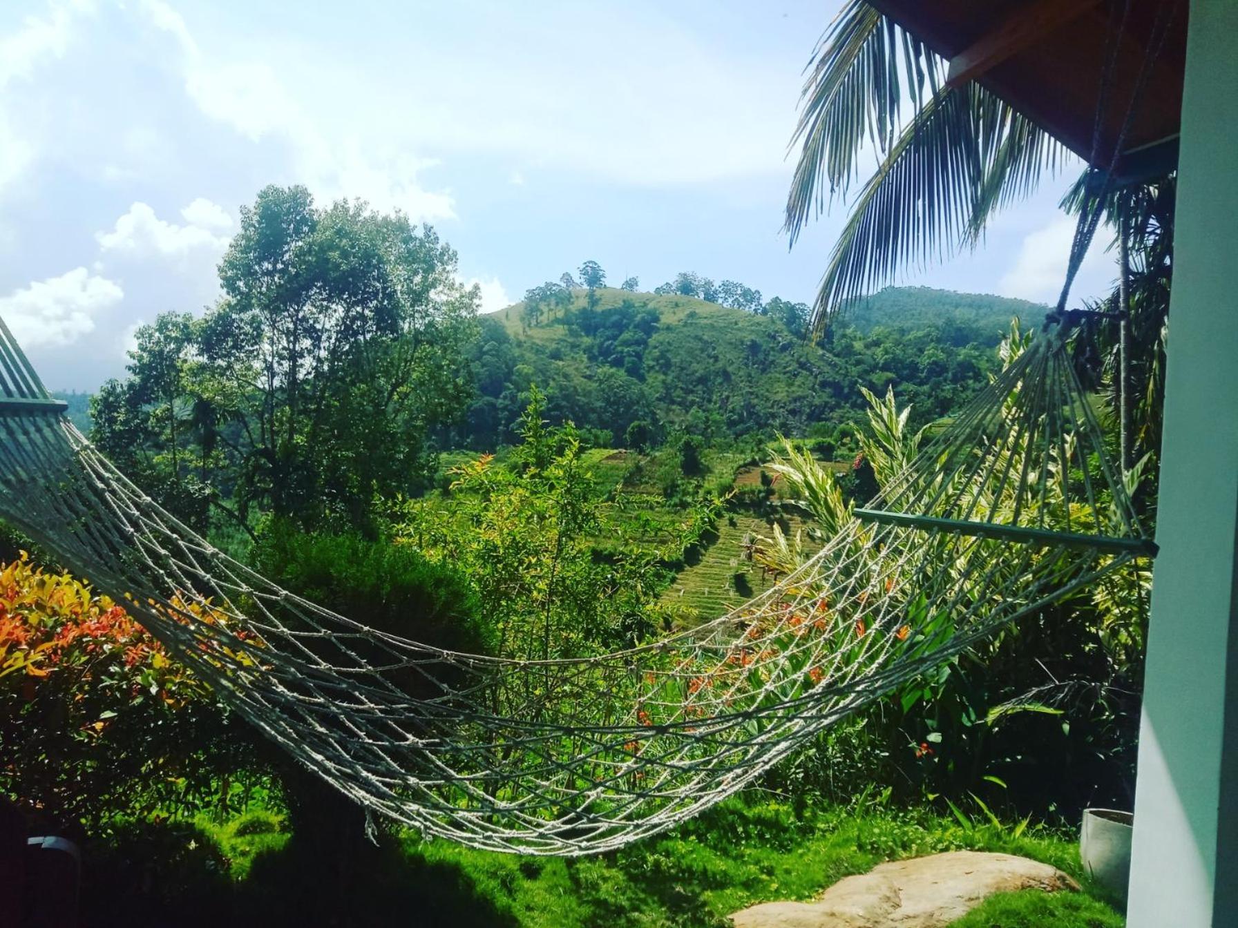 New Farmers Paradise Ella Rom bilde